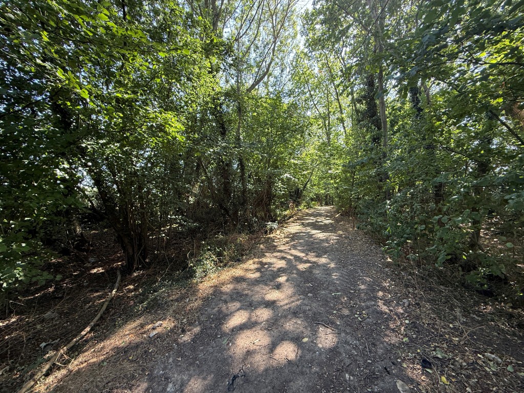 Lot: 8 - FOUR PARCELS OF LAND MEASURING APPROX FOUR ACRES - Land off Burberry Lane